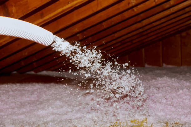 Best Insulation Maintenance and Repair in Fest Grove, OR