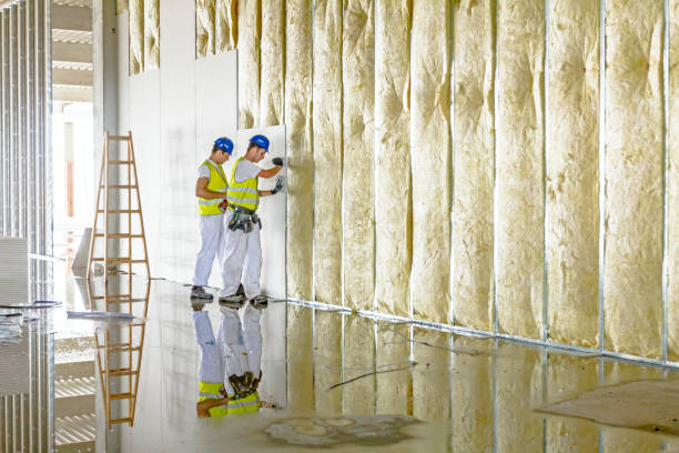 Types of Insulation We Offer in Forest Grove, OR